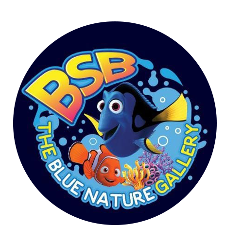 Blue Nature Gallery
